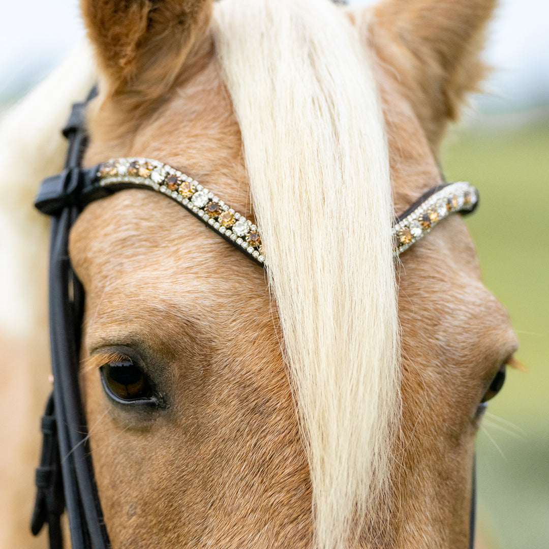 Ein heller fuchsfarbener Pferdekopf schmückt ein wunderschöner Stirnriemen mit verschiedenen braunen und klaren Steinen, die an einen Macchiato erinnern.