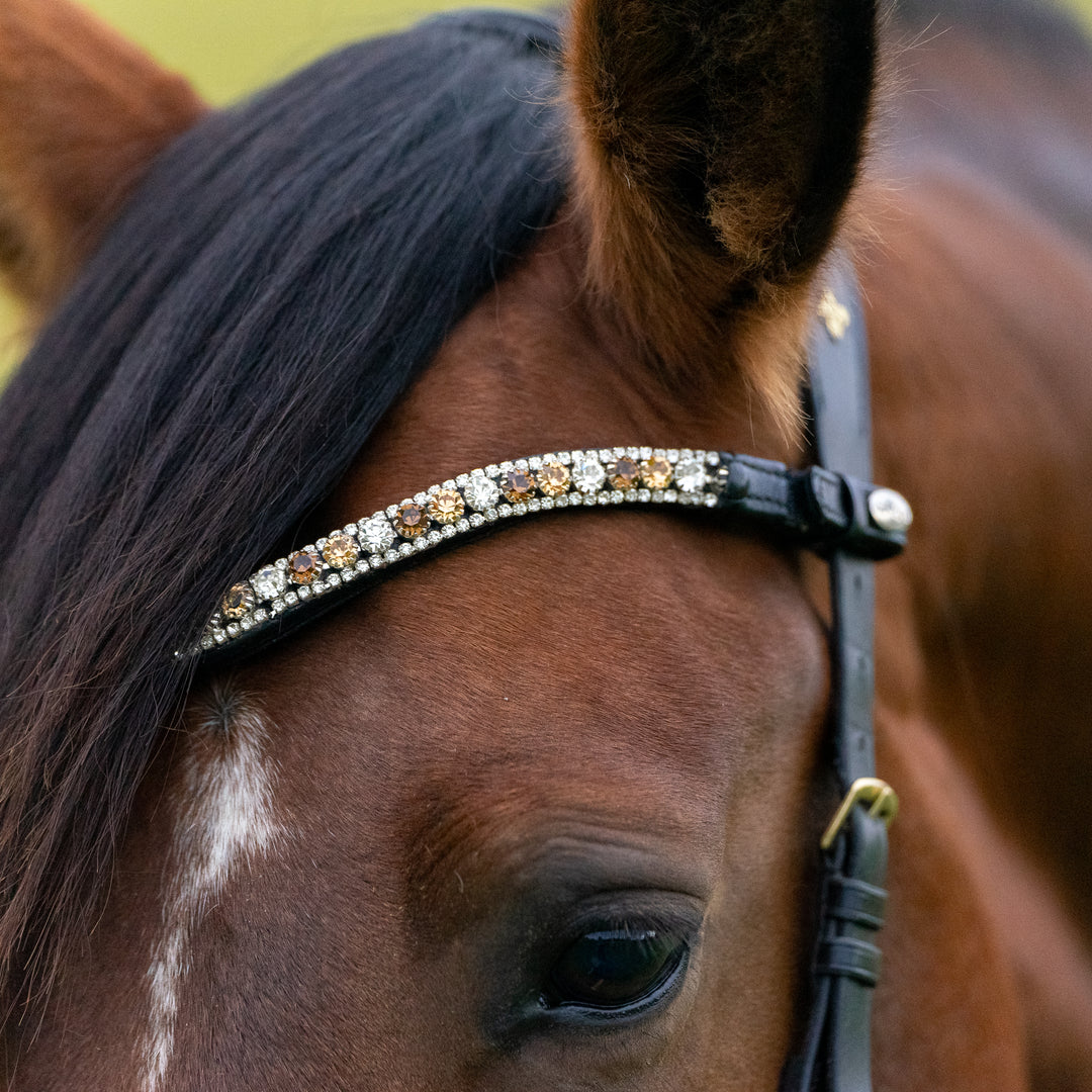 Ein brauner Pferdekopf schmückt ein wunderschöner Stirnriemen mit verschiedenen braunen und klaren Steinen, die an einen Macchiato erinnern.