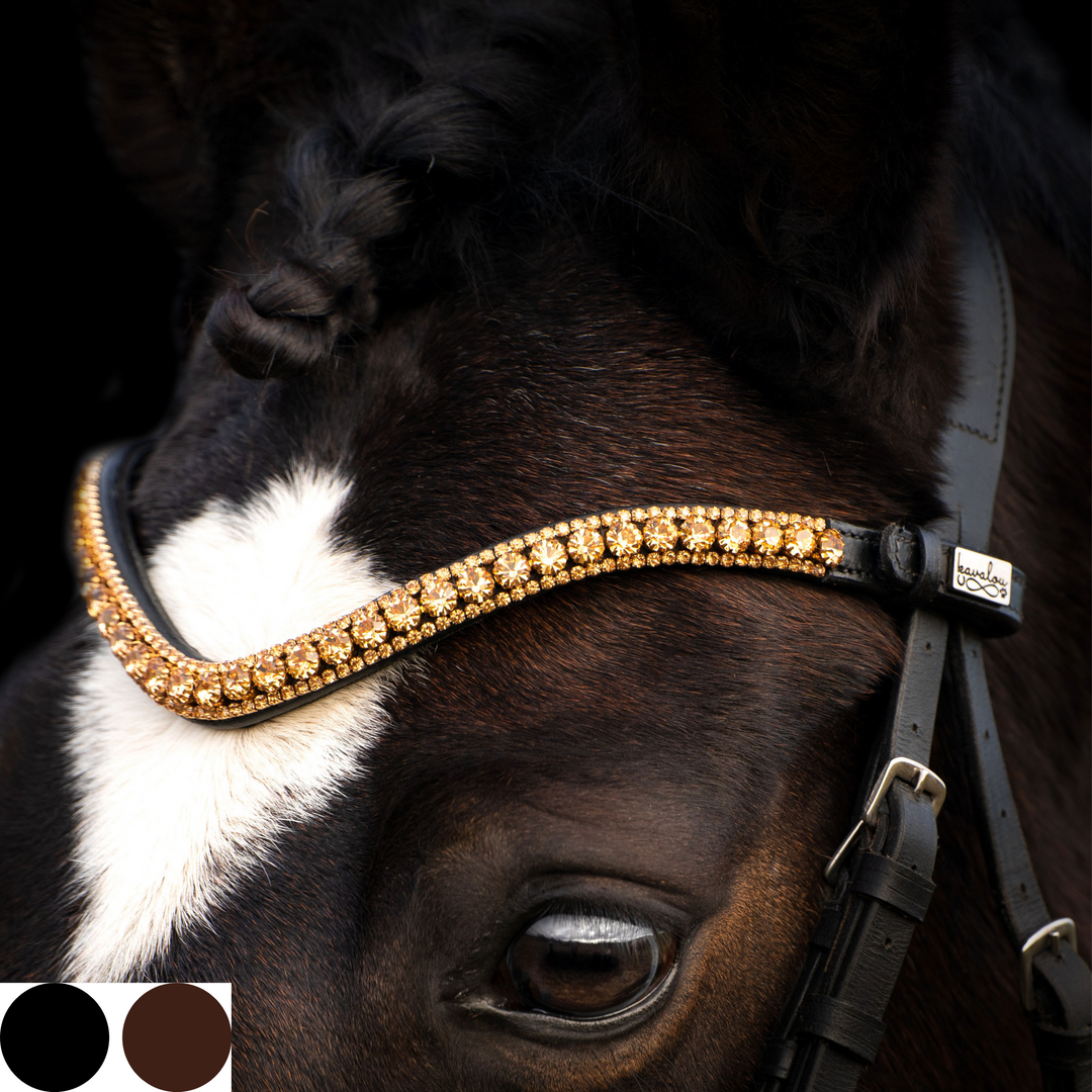 Ein brauner Pferdekopf, geschmückt durch einen glanzvollen Stirnriemen mit goldenen Glassteinen der Marke Preciosa auf schwarzem Qualitätsleder, pflanzlich gegerbt, ohne Chemikalien. Quick-Chance-Verschluss zum einfachen Wechseln.