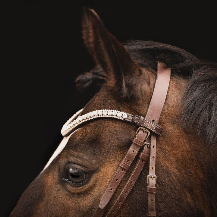 Ein brauner Pferdekopf, geschmückt durch einen glanzvollen Stirnriemen mit silbernen Glassteinen der Marke Preciosa auf braunem Qualitätsleder, pflanzlich gegerbt, ohne Chemikalien. Quick-Chance-Verschluss zum einfachen Wechseln.